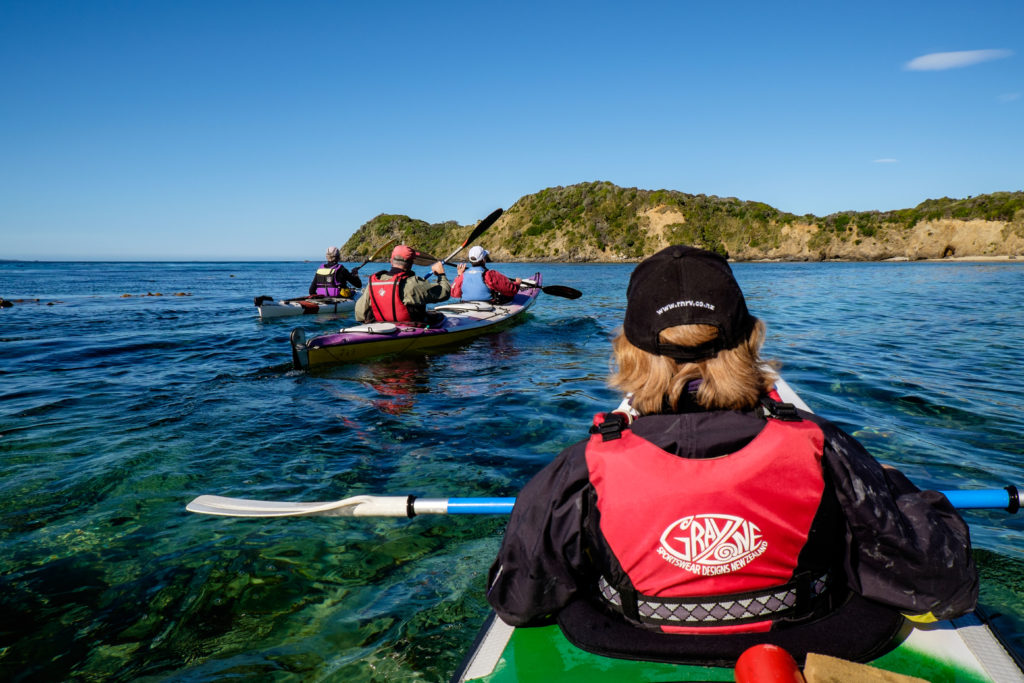 Guided Sea Kayak Tours