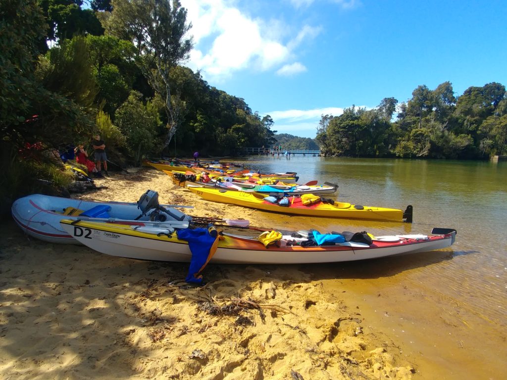 Guided Sea Kayak Tours - Stewart Island, New Zealand